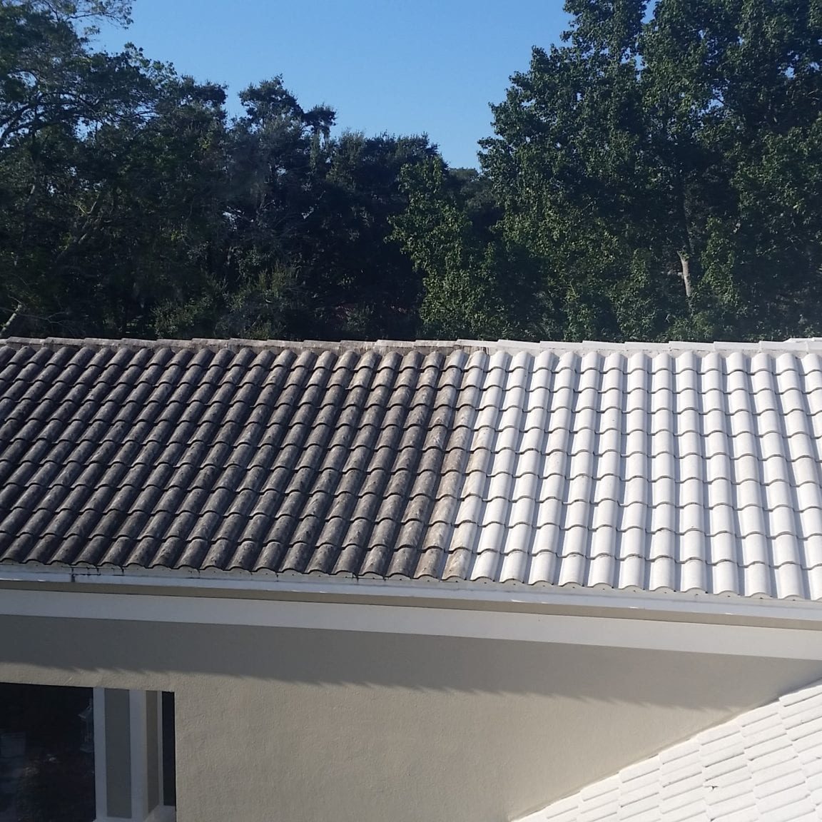 before and after roof cleaning in lakeland, fl